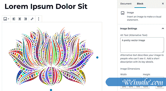 如何在WordPress中添加SVG 如何在WordPress中添加SVG