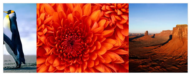 [代码样式]jQuery图片文字无间断滚动插件YLMarquee