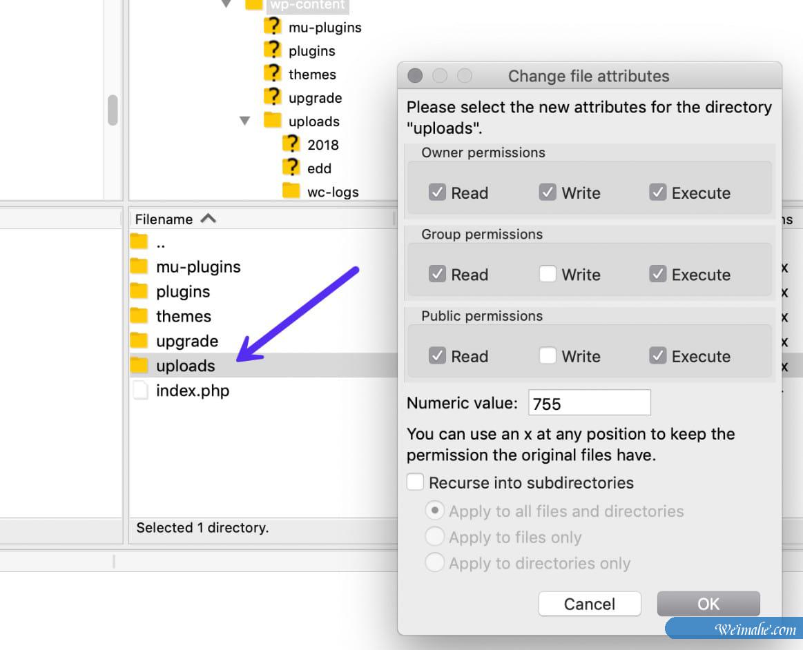 如何修复WordPress HTTP错误(将图像上传到媒体库) 如何修复WordPress HTTP错误(将图像上传到媒体库)