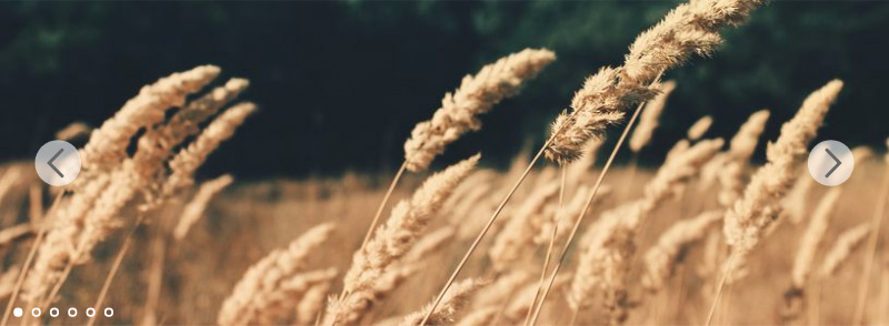 [代码样式]带剪切动画的幻灯片