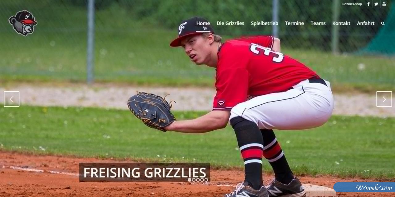 50多个用enfold做的网站 50多个用enfold做的网站