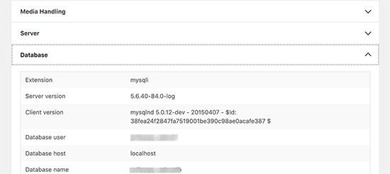 WordPress网站站点健康检查如何获得100分 WordPress网站站点健康检查如何获得100分