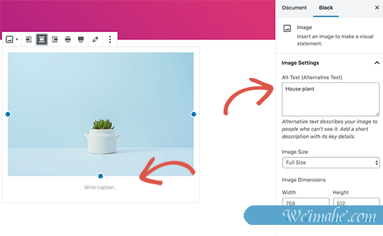 初学者图像搜索引擎优化指南 – 优化搜索引擎的图像