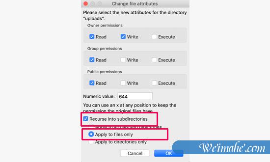 如何修复WordPress中的图像上传问题