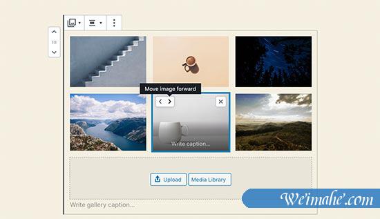 WordPress 5.3 中的新增功能说明