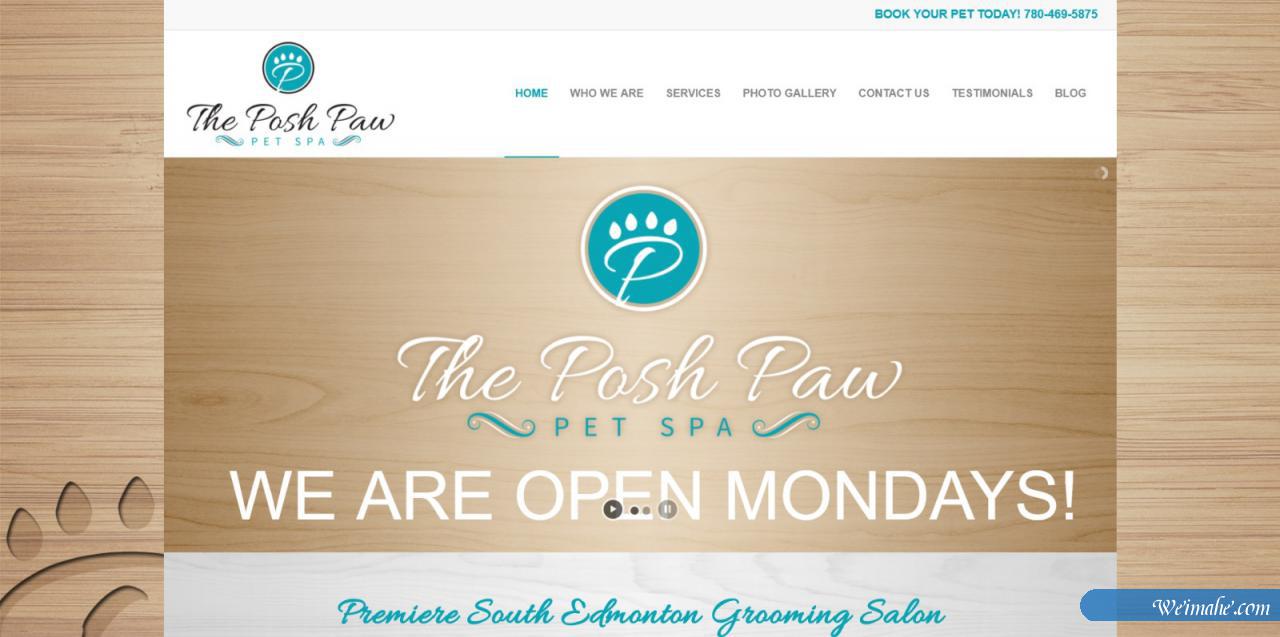 50多个用enfold做的网站 50多个用enfold做的网站