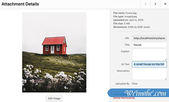 初学者图像搜索引擎优化指南 – 优化搜索引擎的图像