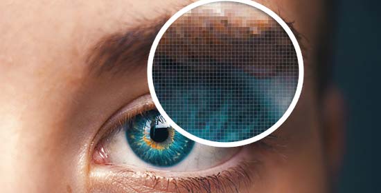 如何在WordPress中添加SVG 如何在WordPress中添加SVG