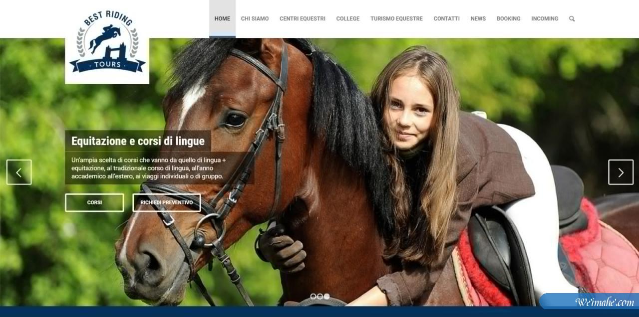 50多个用enfold做的网站 50多个用enfold做的网站