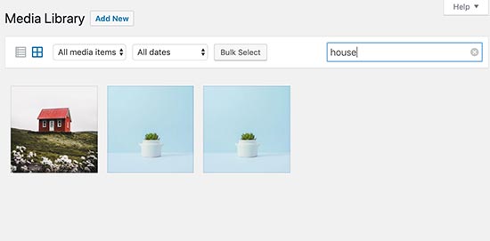 初学者图像搜索引擎优化指南 – 优化搜索引擎的图像