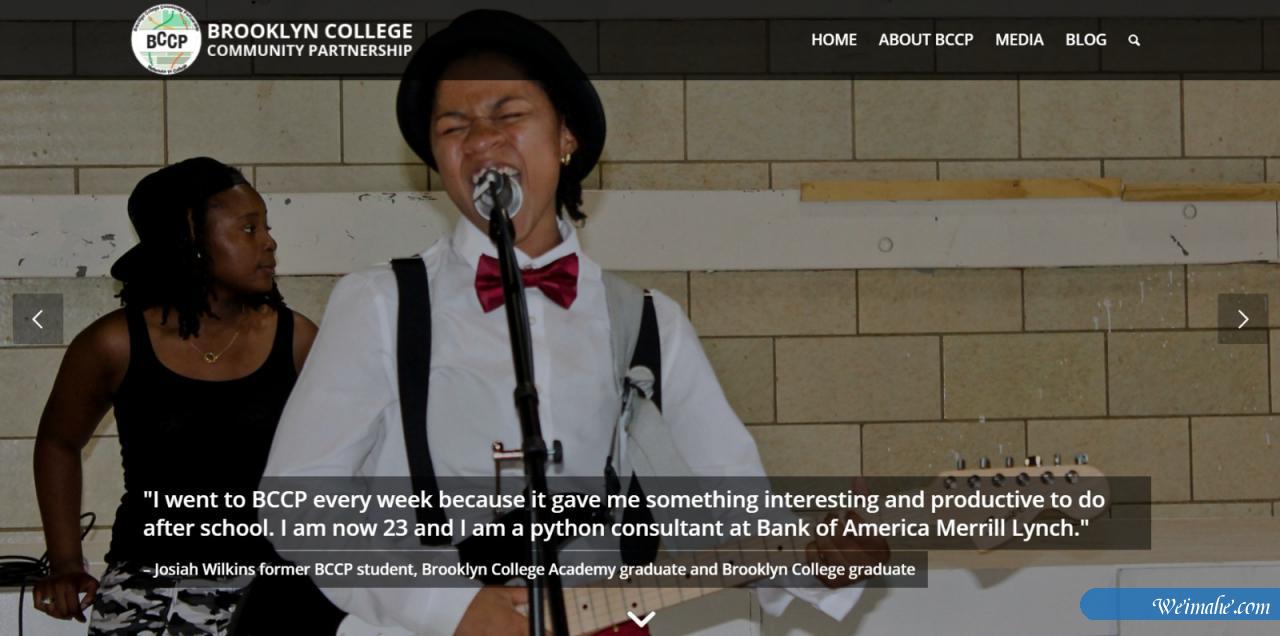 50多个用enfold做的网站 50多个用enfold做的网站