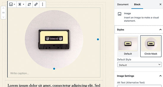 WordPress 5.3 中的新增功能说明