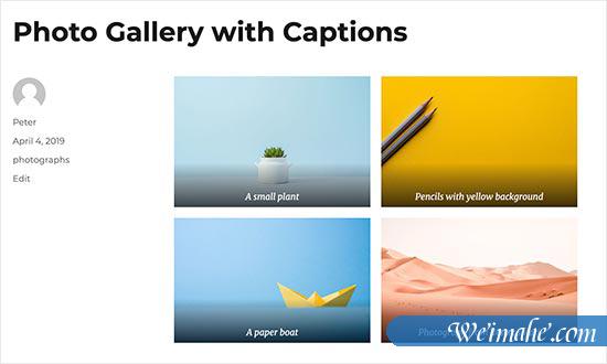 初学者图像搜索引擎优化指南 – 优化搜索引擎的图像