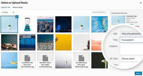 初学者图像搜索引擎优化指南 – 优化搜索引擎的图像