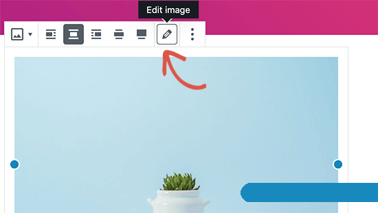 初学者图像搜索引擎优化指南 – 优化搜索引擎的图像