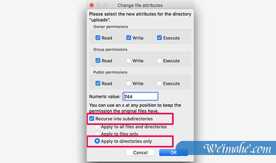 如何修复WordPress中的图像上传问题