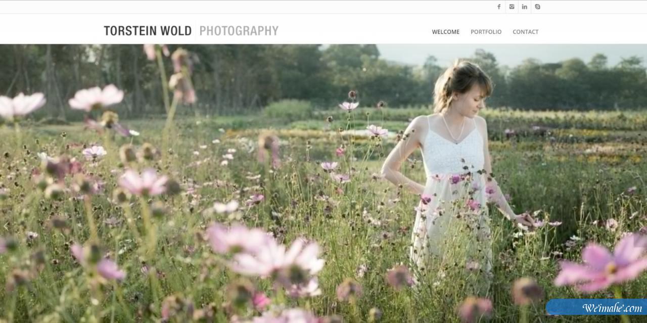 50多个用enfold做的网站 50多个用enfold做的网站