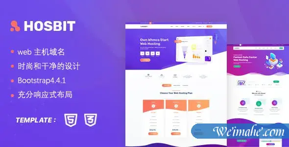 时尚紫色web主机服务器网站模板