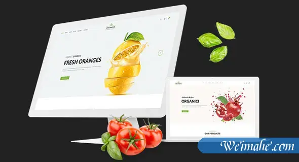 响应式有机食品商城HTML5模板 响应式有机食品商城HTML5模板