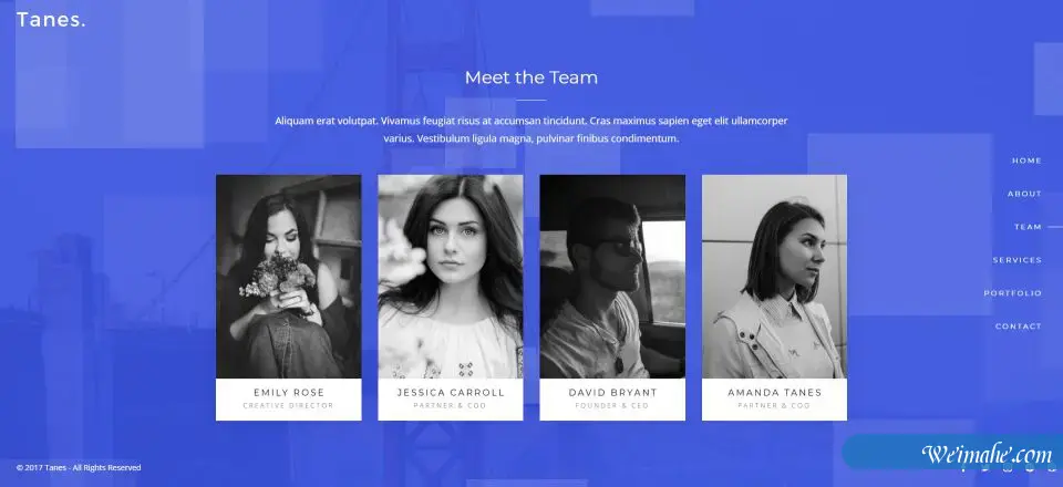 Bootstrap3轻量级和充分响应式的单页模板-BTSP4097