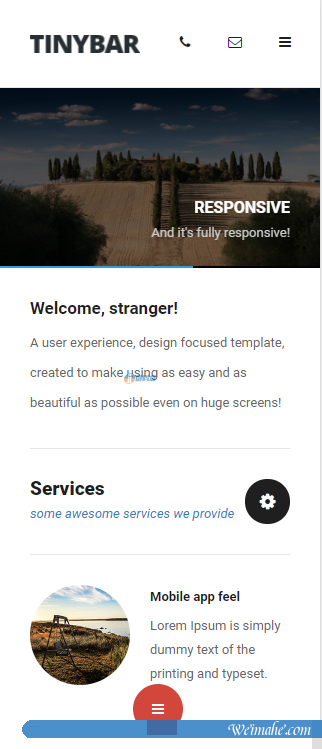 Html5手机移动端App模板-Tinyh2ar