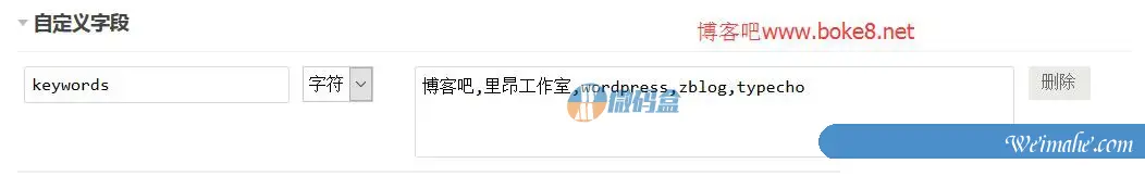 Typecho文章自定义字段的使用方法