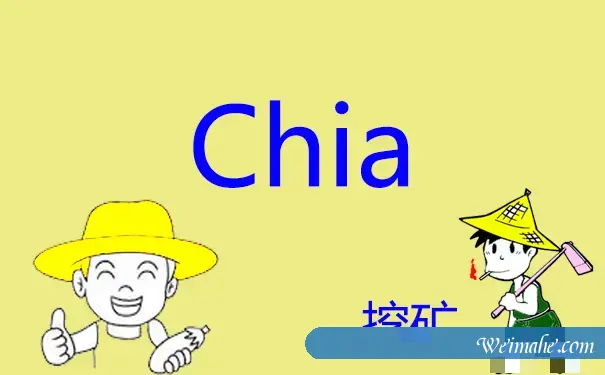 现在用服务器挖Chia币还有用吗?