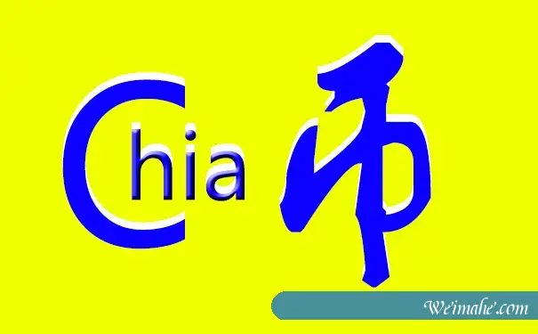 买服務器挖chia币多久可以回本_境外服务器租用