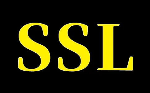 SSL证书是怎么保护网站信息安全的？服务器系统