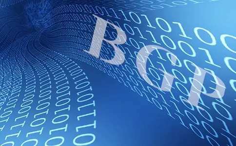 适合使用美国BGP服务器的行业，区分是否采用BGP线路，bgp大带宽服务器
