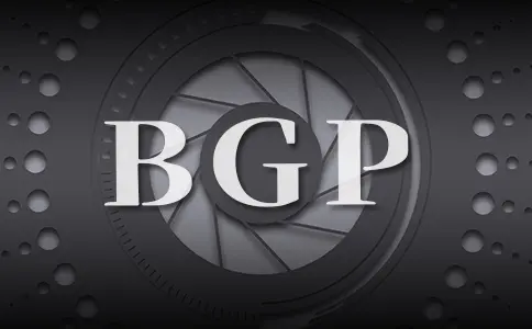 国内BGP服务器_什么是香港BGP双线/多线以及BGP服务器怎么样?