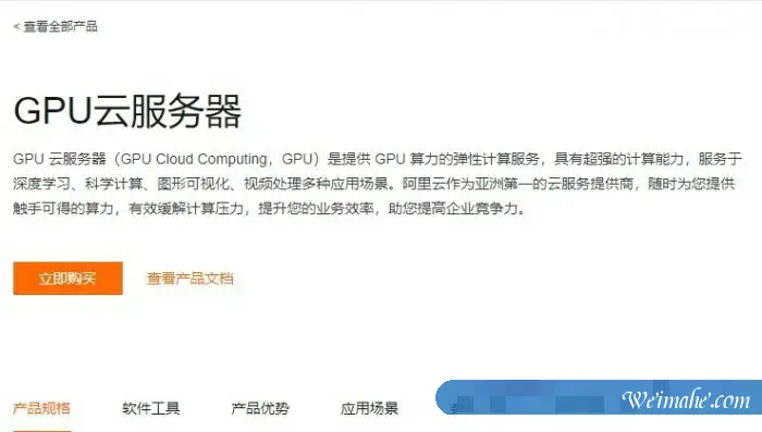 阿里云GPU云服务器怎么样?阿里云GPU云服务器多少钱一个月?
