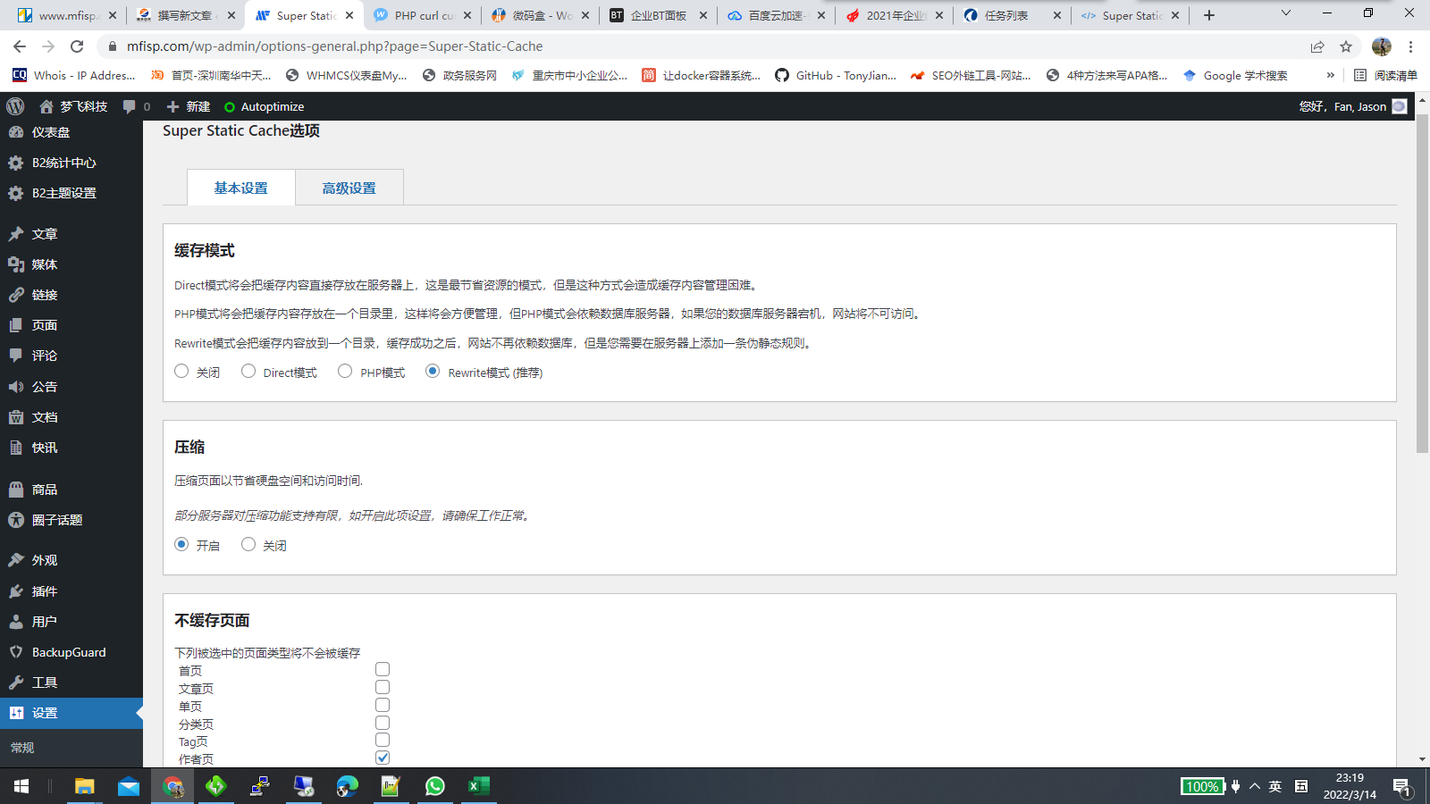 WordPress静态插件