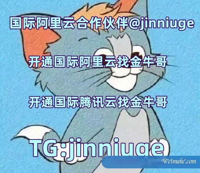 阿里云国际版购买云服务器：国际阿里云分销商，注册充值教程