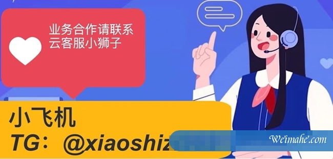 狮子云：阿里云国际版账号注册充值教程，无需paypal信用卡即可充值购买服务器等产品