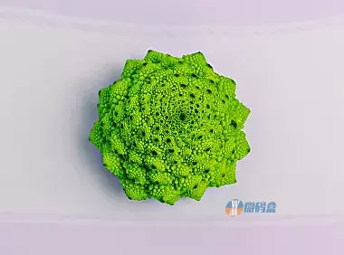 记录CSS样式中的nth-of-type伪元素选择前几个或后几个