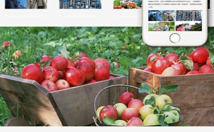 [织梦模板]响应式冷鲜化肥农业类模板(自适应手机端)