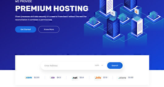 [静态网页]非常好看的一款主机销售类HTML模板-Hostinza