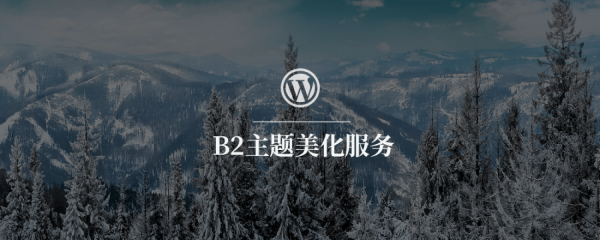 B2主题