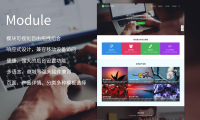 WordPress主题推荐之多功能模块企业主题 Module