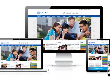 WordPress主题推荐之学校/政府机构网站主题 WPUniversity