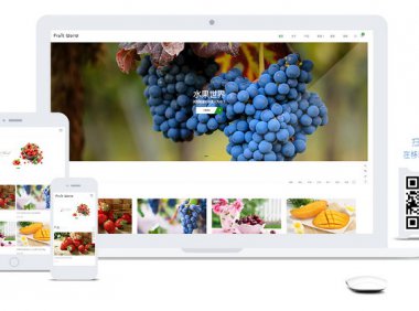 WordPress主题推荐之企业产品展示商城主题Fruit