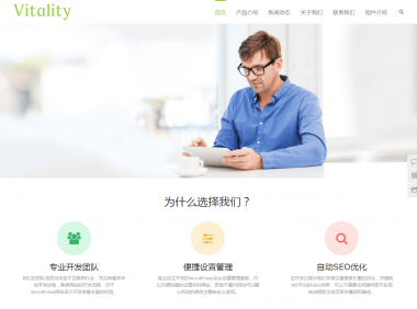 WordPress主题推荐之通用型企业主题 Vitality