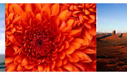 [代码样式]jQuery图片文字无间断滚动插件YLMarquee