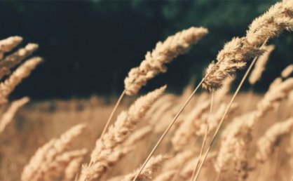 [代码样式]带剪切动画的幻灯片