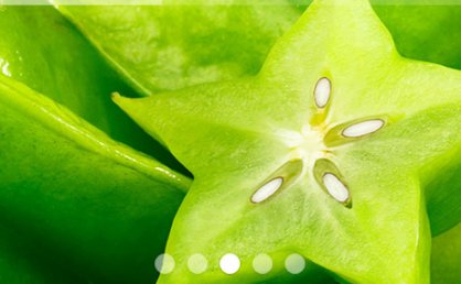 [代码样式]Pogo Slider – jQuery幻灯片插件