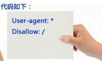 [网站优化]robots.txt怎么写利于搜索引擎优化？[网站SEO]