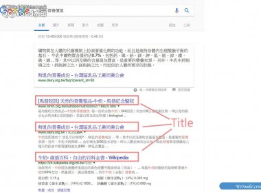 [网站优化]认识SEO的Title Tag（标题标记）（以GOOGLE为例）