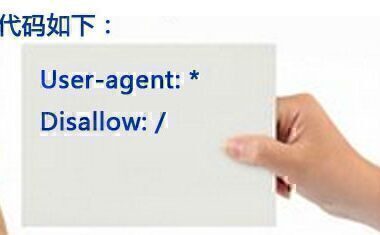 [网站优化]robots.txt怎么写利于搜索引擎优化？[网站SEO]