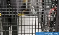 服务器国内_游戏服务器需要考虑哪些因素？